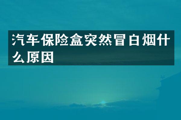 汽车保险盒突然冒白烟什么原因