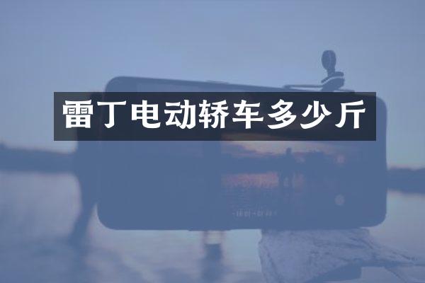雷丁电动轿车多少斤