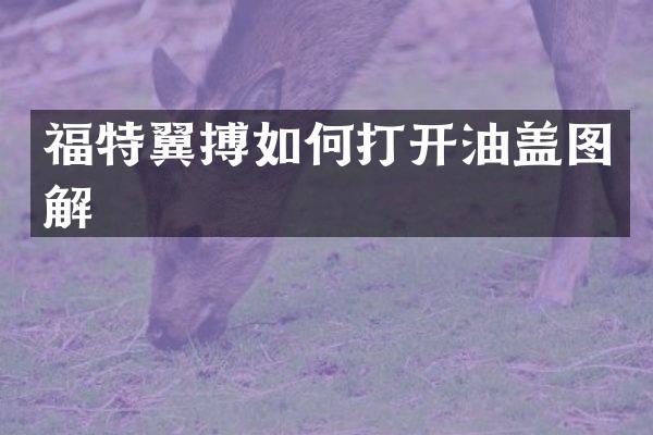 福特翼搏如何打开油盖图解