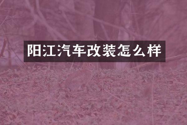 阳江汽车改装怎么样