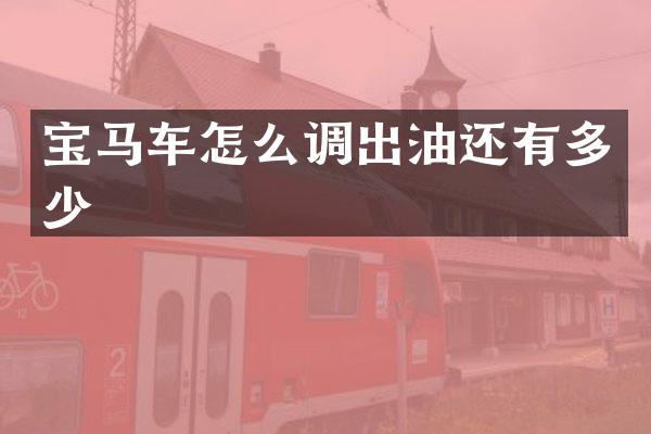 宝马车怎么调出油还有多少