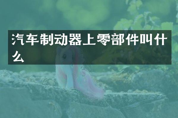 汽车制动器上零部件叫什么