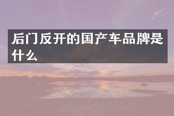 后门反开的国产车品牌是什么