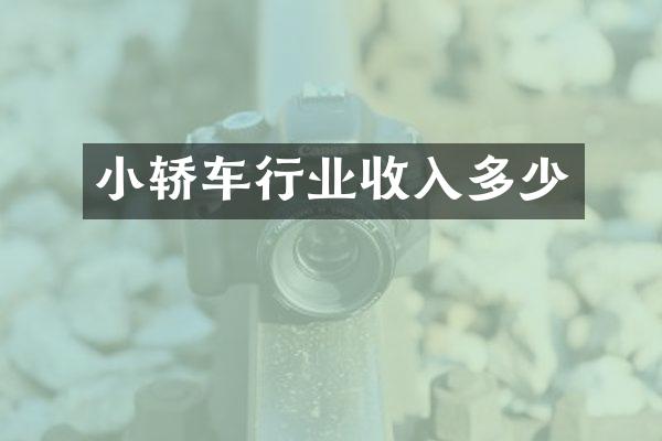 小轿车行业收入多少