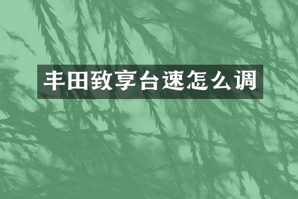 丰田致享台速怎么调