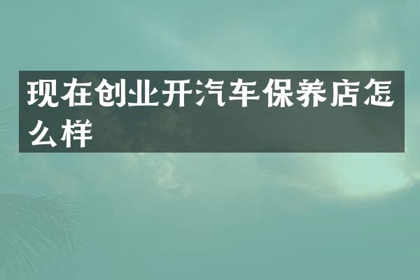 现在创业开汽车保养店怎么样