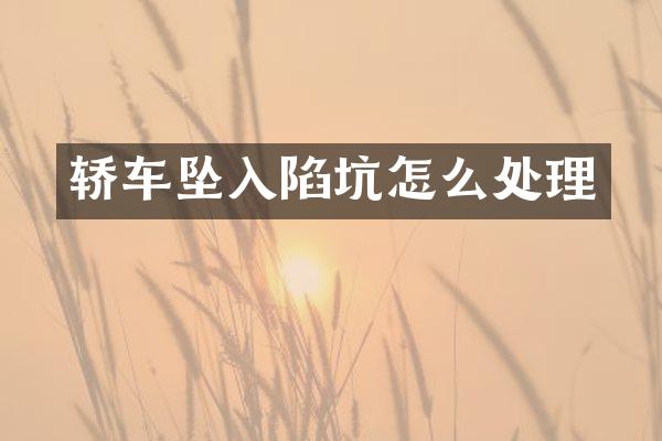 轿车坠入陷坑怎么处理
