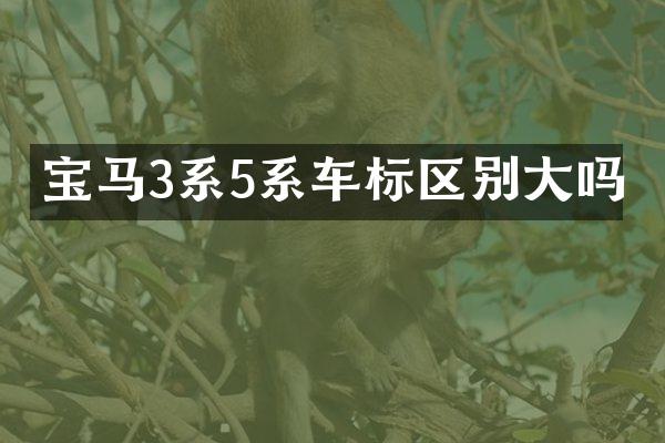 宝马3系5系车标区别大吗
