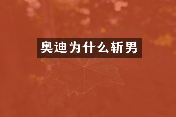 奥迪为什么斩男