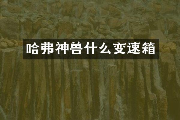 哈弗神兽什么变速箱