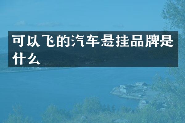 可以飞的汽车悬挂品牌是什么