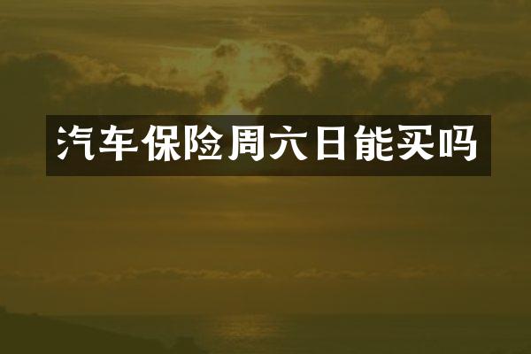 汽车保险周六日能买吗