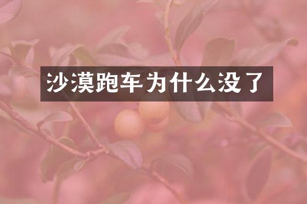 沙漠跑车为什么没了