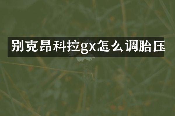 别克昂科拉gx怎么调胎压