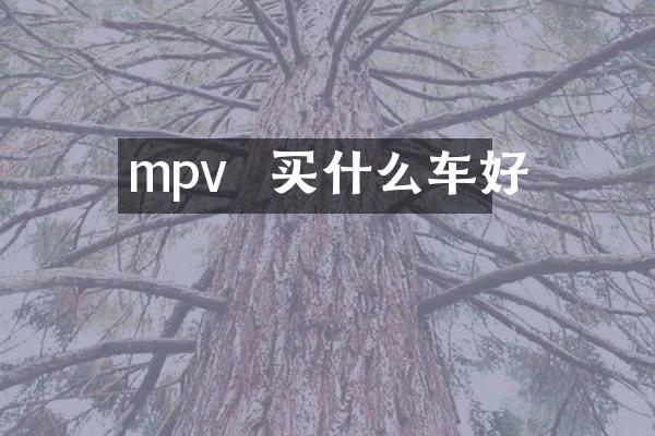 mpv  买什么车好