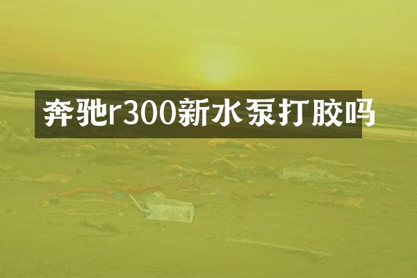 奔驰r300新水泵打胶吗