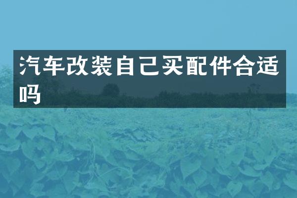 汽车改装自己买配件合适吗