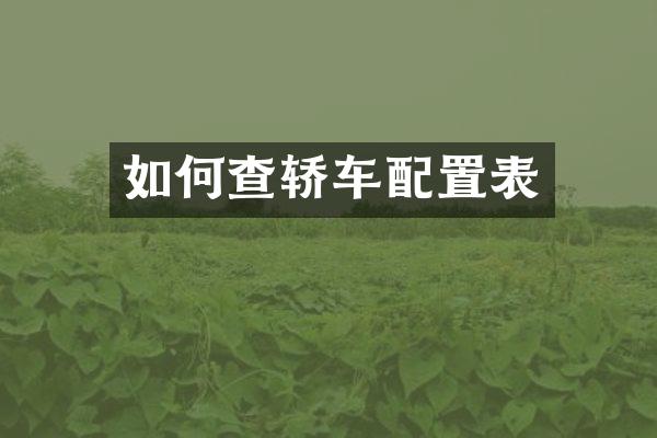 如何查轿车配置表