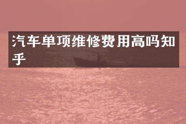 汽车单项维修费用高吗知乎