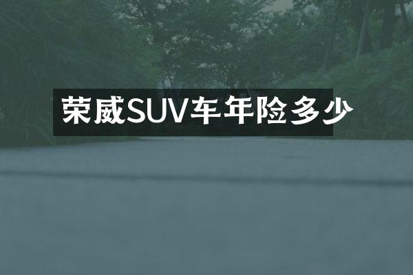 荣威SUV车年险多少