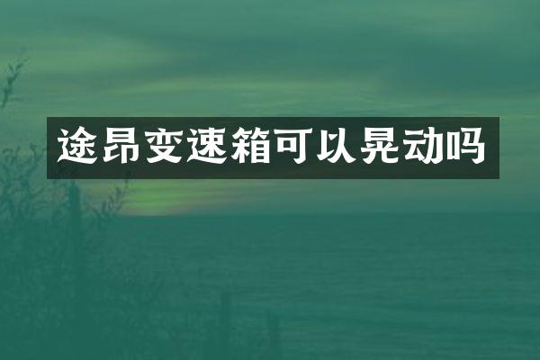 途昂变速箱可以晃动吗