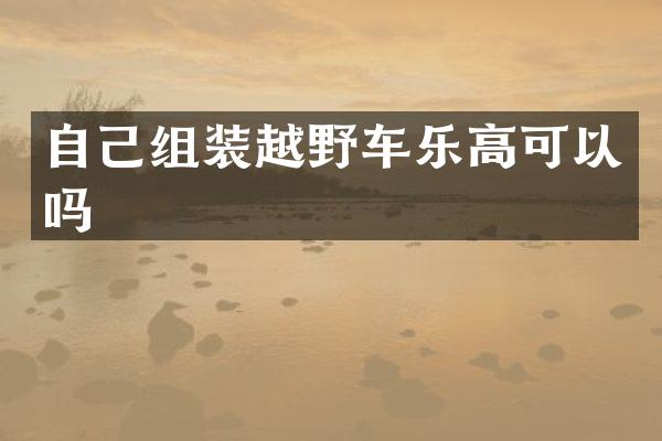 自己组装越野车乐高可以吗