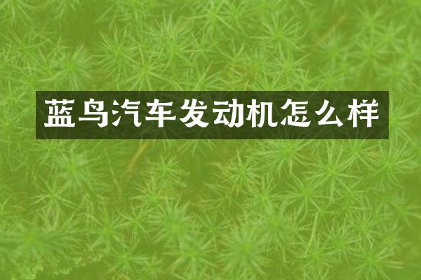 蓝鸟汽车发动机怎么样