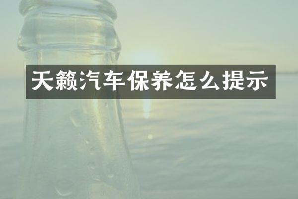 天籁汽车保养怎么提示