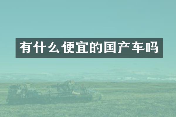 有什么便宜的国产车吗
