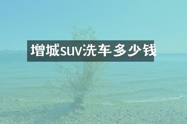 增城suv洗车多少钱