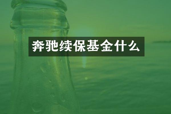 奔驰续保基金什么