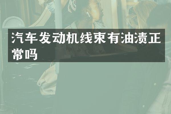 汽车发动机线束有油渍正常吗