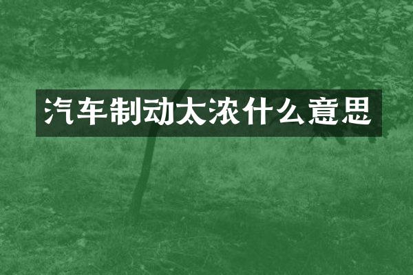 汽车制动太浓什么意思