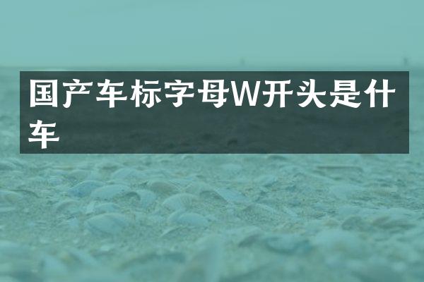 国产车标字母W开头是什么车