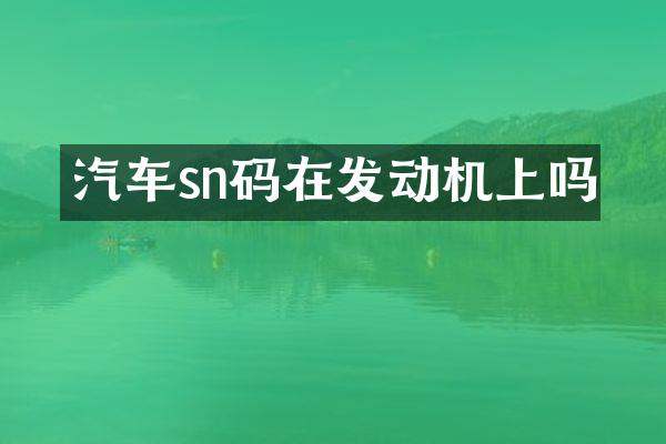 汽车sn码在发动机上吗