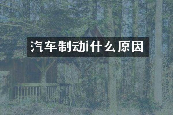 汽车制动i什么原因
