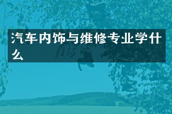 汽车内饰与维修专业学什么