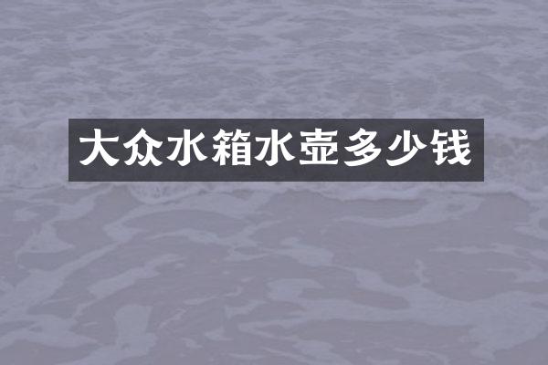 大众水箱水壶多少钱