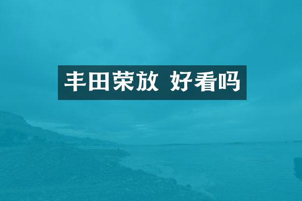 丰田荣放 好看吗