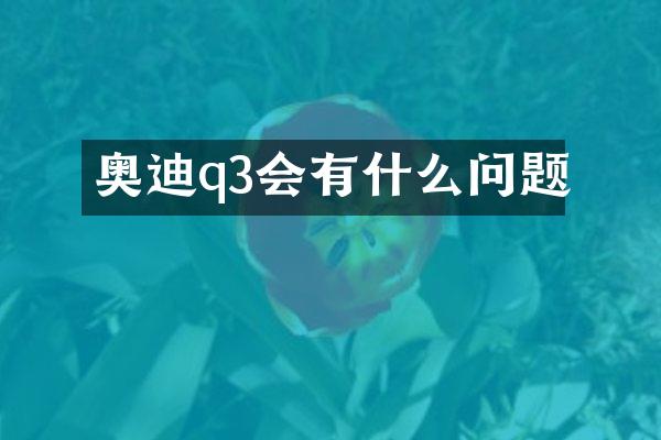 奥迪q3会有什么问题