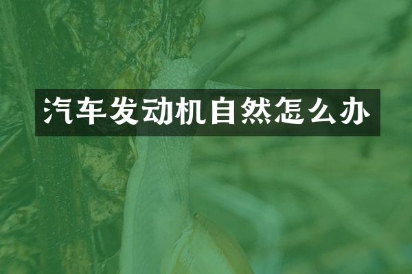 汽车发动机自然怎么办