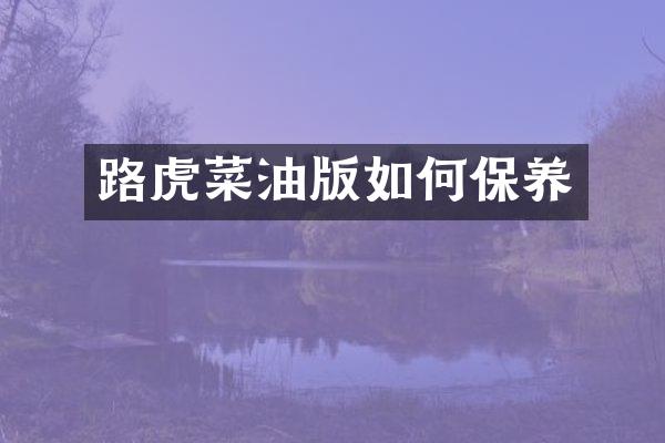 路虎菜油版如何保养