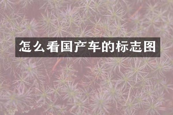 怎么看国产车的标志图