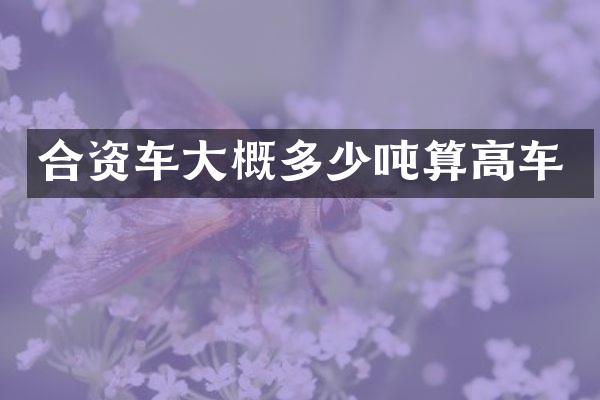 合资车大概多少吨算高车