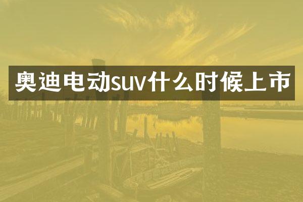 奥迪电动suv什么时候上市