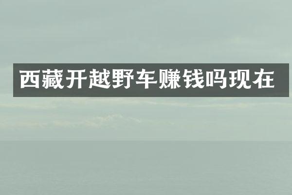 西藏开越野车赚钱吗现在