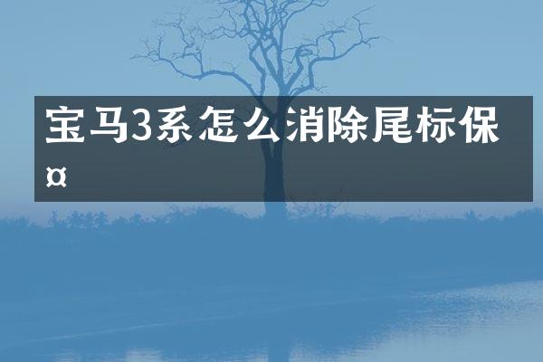 宝马3系怎么消除尾标保护