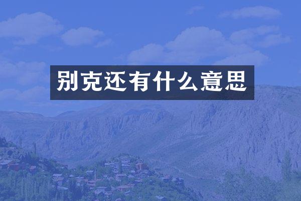 别克还有什么意思