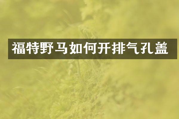 福特野马如何开排气孔盖