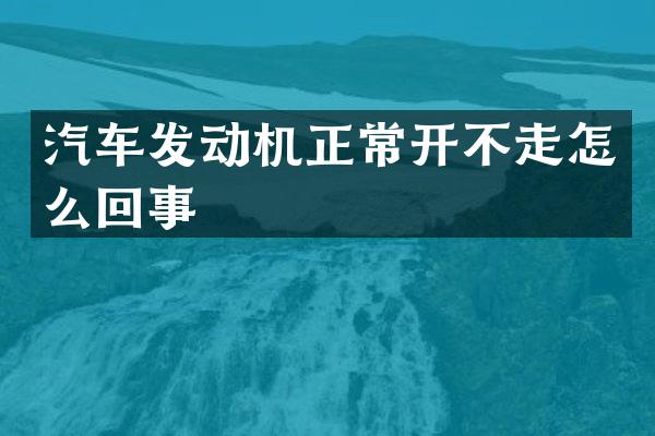 汽车发动机正常开不走怎么回事